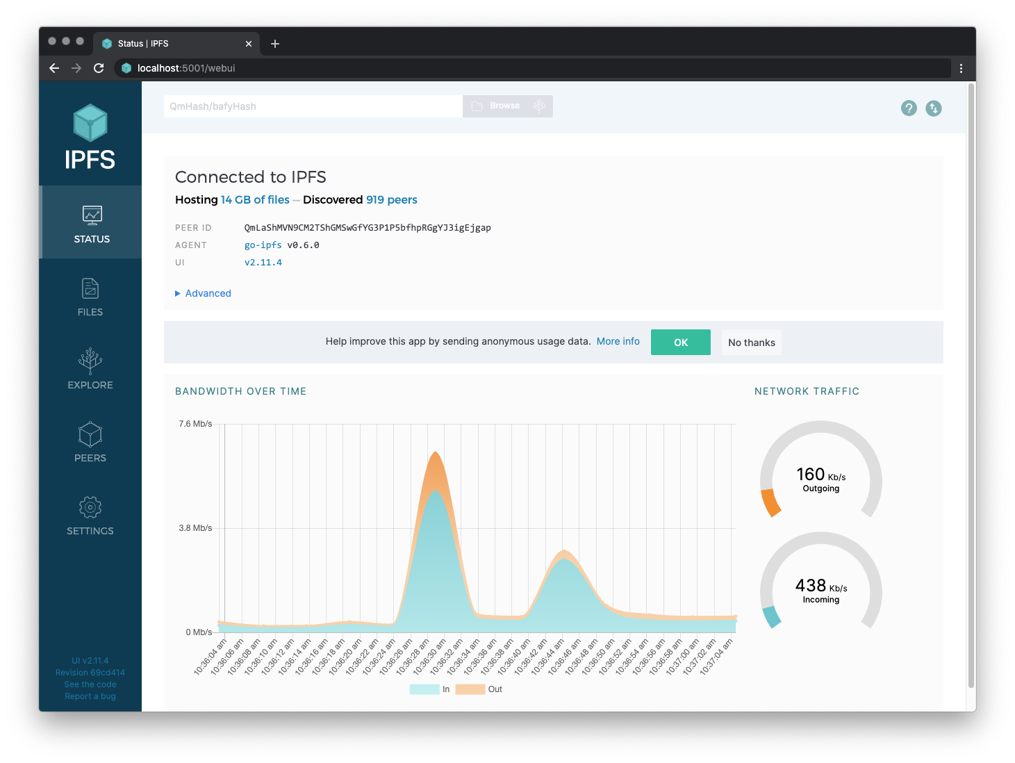 Web console connection view